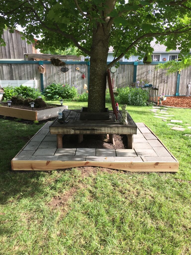 Let's Create a Tree Patio! | My Perpetual Project, image size:768x1024